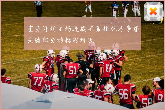 霍芬海姆主场迎战不莱梅双方争夺关键积分的精彩对决