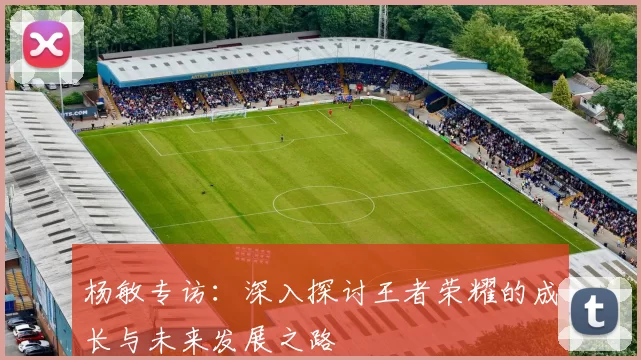 杨敏专访：深入探讨王者荣耀的成长与未来发展之路