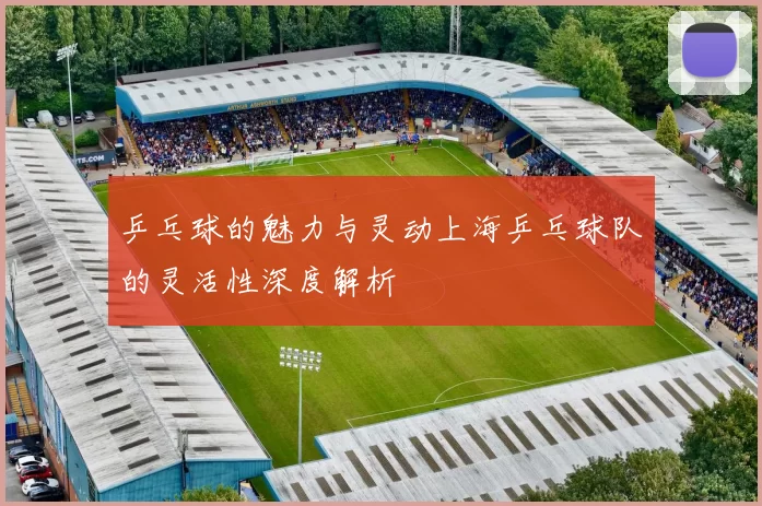 乒乓球的魅力与灵动上海乒乓球队的灵活性深度解析