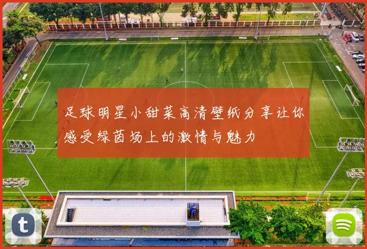 足球明星小甜菜高清壁纸分享让你感受绿茵场上的激情与魅力