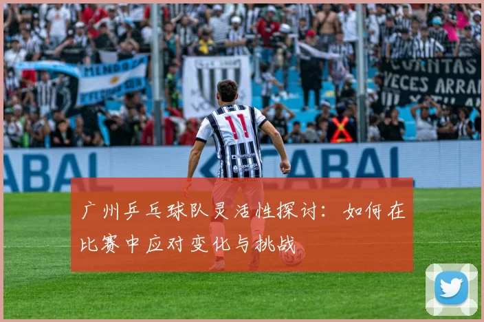 广州乒乓球队灵活性探讨：如何在比赛中应对变化与挑战