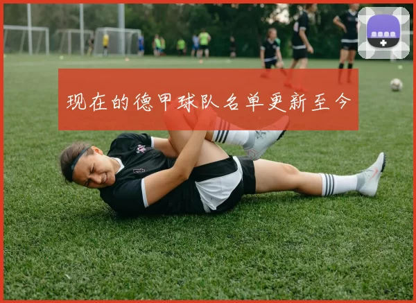 现在的德甲球队名单更新至今