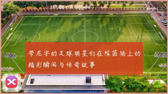 带尼字的足球明星们在绿茵场上的精彩瞬间与传奇故事