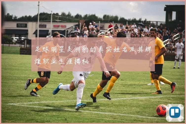 足球明星美洲豹的真实姓名及其辉煌职业生涯揭秘
