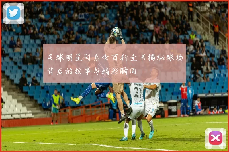 足球明星同乐会百科全书揭秘球场背后的故事与精彩瞬间