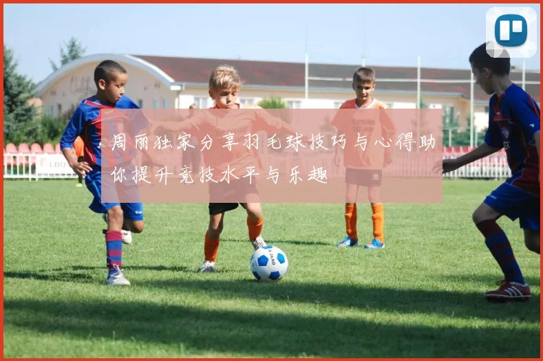 周丽独家分享羽毛球技巧与心得助你提升竞技水平与乐趣
