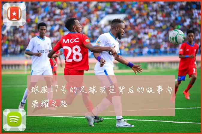球服17号的足球明星背后的故事与荣耀之路