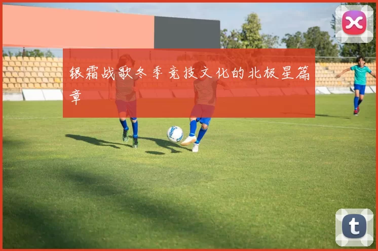 银霜战歌冬季竞技文化的北极星篇章