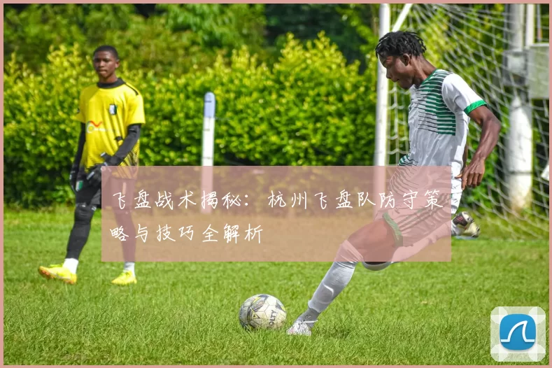 飞盘战术揭秘：杭州飞盘队防守策略与技巧全解析