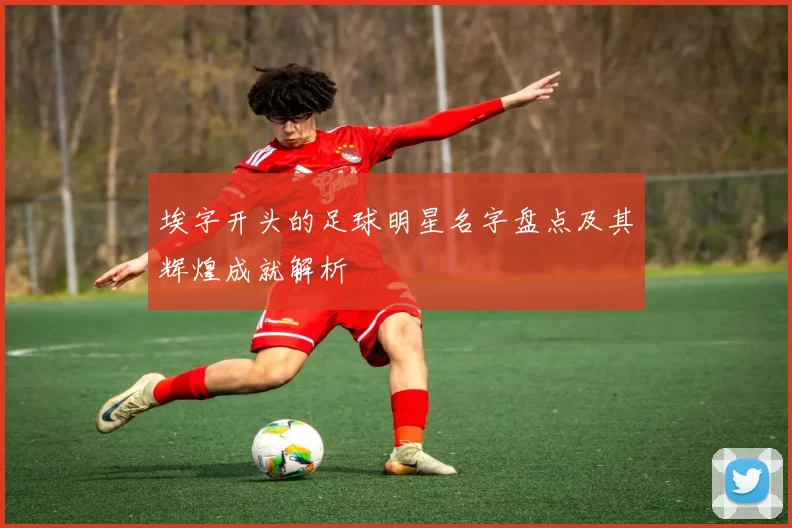埃字开头的足球明星名字盘点及其辉煌成就解析