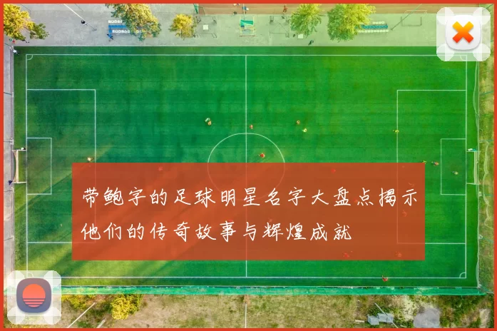 带鲍字的足球明星名字大盘点揭示他们的传奇故事与辉煌成就