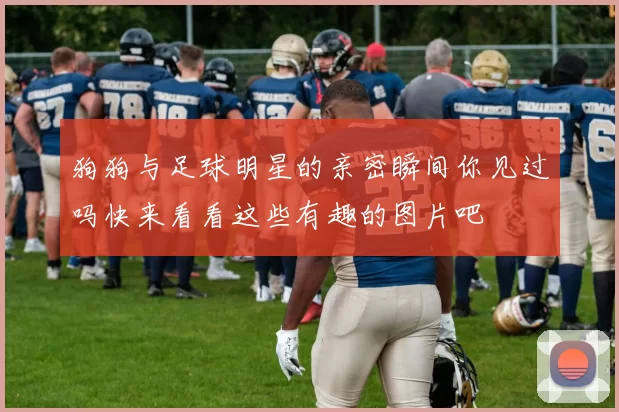 狗狗与足球明星的亲密瞬间你见过吗快来看看这些有趣的图片吧