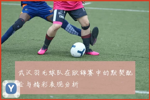 武汉羽毛球队在欧锦赛中的默契配合与精彩表现分析