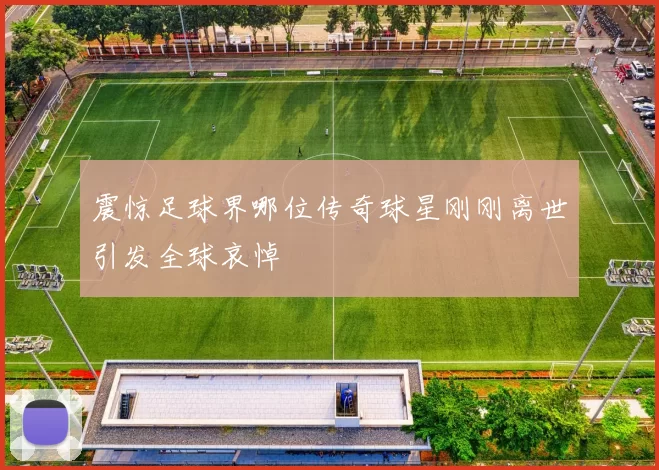 震惊足球界哪位传奇球星刚刚离世引发全球哀悼
