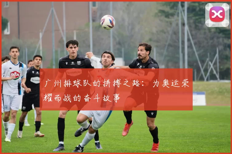 广州排球队的拼搏之路：为奥运荣耀而战的奋斗故事