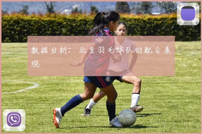 数据分析：北京羽毛球队的配合表现
