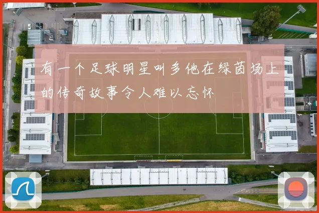 有一个足球明星叫多他在绿茵场上的传奇故事令人难以忘怀